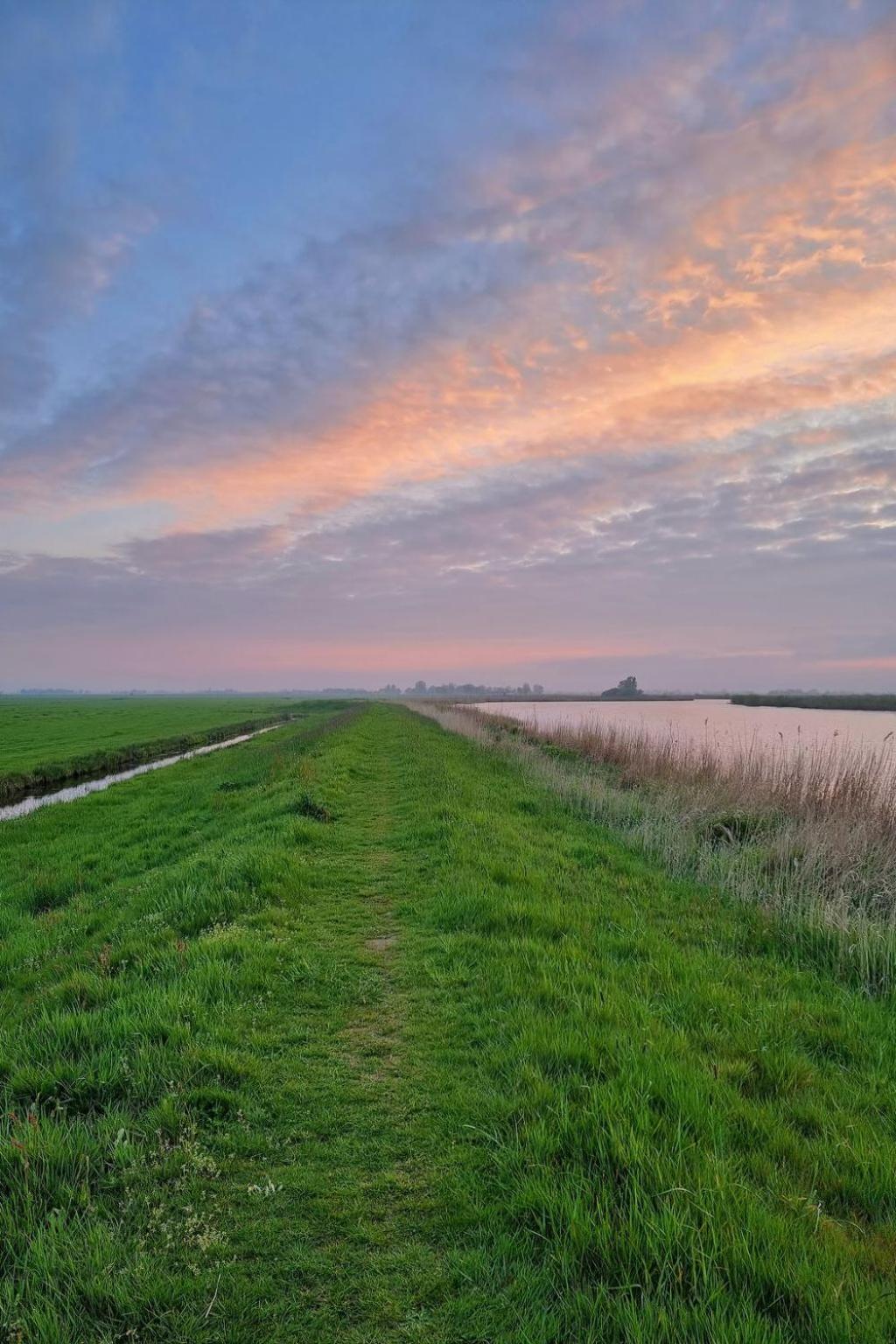 Holiday Home Natuurlijk De Veenhoop By Interhome Esterno foto