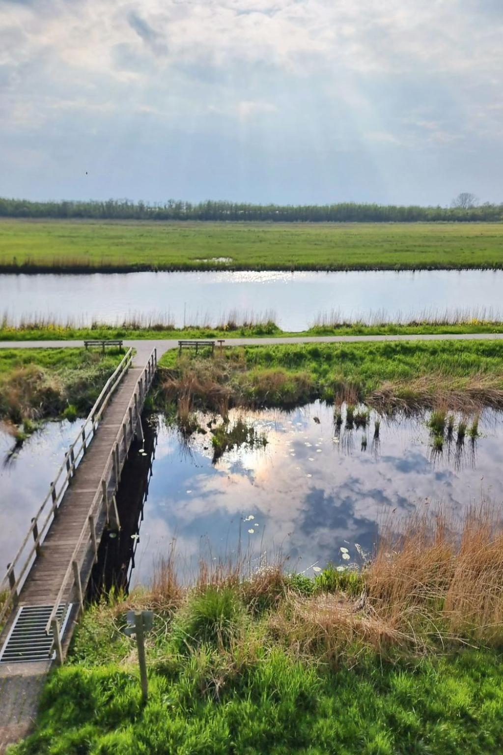 Holiday Home Natuurlijk De Veenhoop By Interhome Esterno foto
